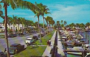 Florida Fort Myers Coconut Palm Lined Avenue Along Yacht Basin 1962