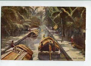 3151564 CEYLON Negombo Canal & Padda Boats Vintage PC