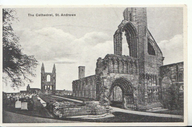 Scotland Postcard - The Cathedral - St Andrews - Fife - Ref 19256A