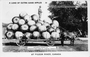 J83/ Pigeon River Ontario RPPC Postcard Exaggeration Comic Apples 154