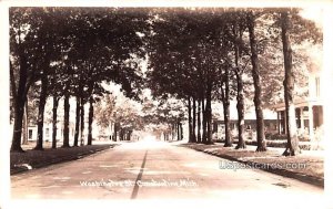 Washington Street in Constantine, Michigan