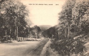 Vintage Postcard 1910's View on the Around Trail Maine Road & Country Scene