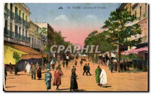 Old Postcard Tunisia Tunis Avenue de France