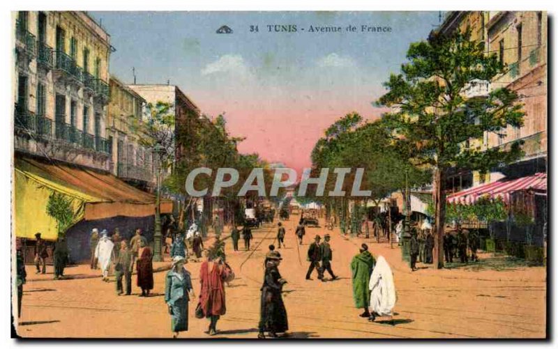 Old Postcard Tunisia Tunis Avenue de France