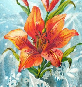 1880s Victorian Trade Cards Lovely Colorful Lilies Tiger & Asiatic Lot Of 2 #5K