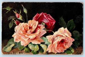 Mary Gala Artist Signed Postcard Roses Flowers Chicago Illinois IL 1907 Antique