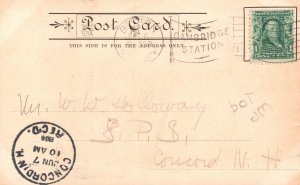 Vintage Postcard 1904 Legend Washington Elm Tree Cambridge Massachusetts MA