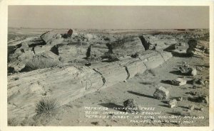 Arizona Frasher Petrified Forest Trees erosion 1930s Route 66 Postcard 20-1120