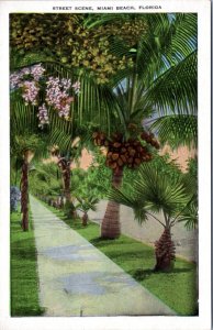 Postcard FL Miami Beach street scene palm tree coconuts