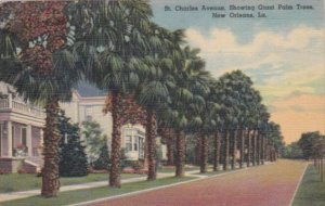 Louisiana New Orleans St Charles Avenue Showing Giant Palm Trees Curteich