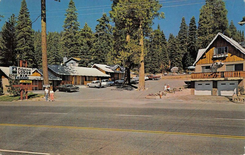 ALPINE LODGE Tahoe Vista, CA LAKE TAHOE Roadside c1960s Vintage Postcard