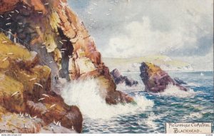 Co. ANTRIM, Blackhead, 1900-10s, TUCK 7789