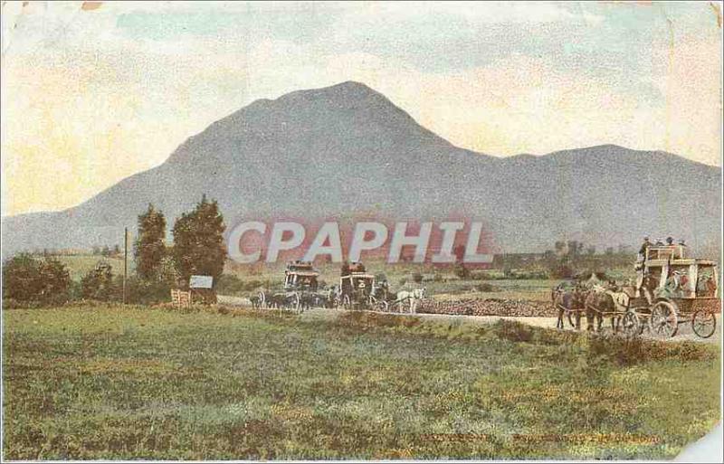 Old Postcard Caleche Horses