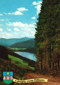 Vintage Postcard Grube Vom Titisee Hochschwarzwald Blick zum Feldberg Germany