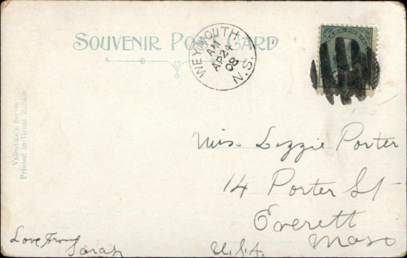 Gray Cats Kittens WHO'S THIS c1910 Postcard