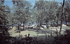 NEW PRESTON CONNECTICUT LAKE WARAMAUG STATE PARK~BEACH CAMPING POSTCARD c1960s