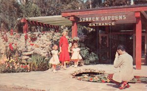 ST PETERSBURG FLORIDA FL~SUNKEN GARDENS ENTRANCE-MAN-CAMERA-PHOTO~1960 POSTCARD