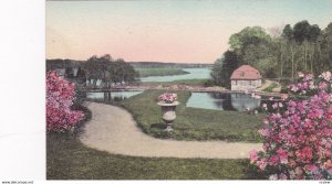 CHARLESTON , South Carolina , 1910s; View from ruins of Old Mansion