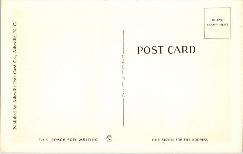 Southern Moonlight Amid Pines Night View Linen Postcard VTG UNP Vintage Unused 