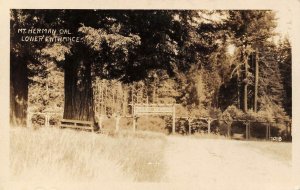 RPPC MOUNT HERMON Santa Cruz County, CA Mt. Herman c1930s Vintage Postcard