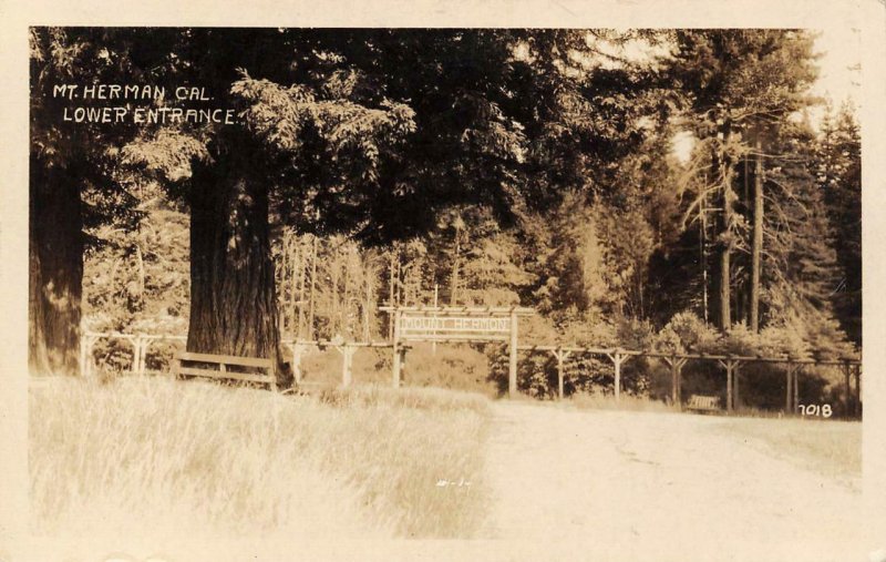 RPPC MOUNT HERMON Santa Cruz County, CA Mt. Herman c1930s Vintage Postcard