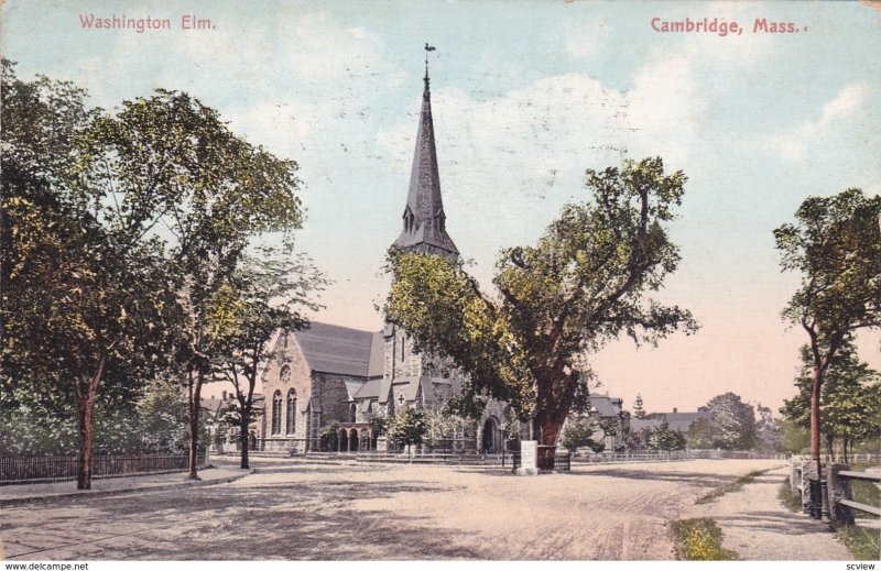 CAMBRIDGE , Mass. , 1912 ; Washington Elm
