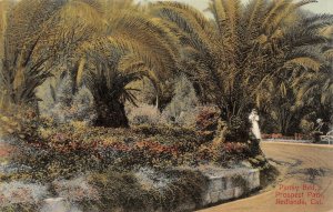LP45   Redlands  California  Postcard  Prospect Park Pansy Bed