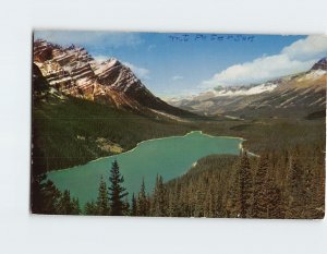 Postcard Mt. Patterson and Peyto Lake Icefields Highway Canada