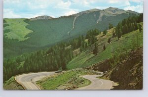 Northern Slope Road, Mt Washburn, Yellowstone National Park, Wyoming, Postcard