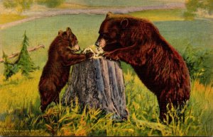 Bears Learning Table Manners In The Rockies Curteich