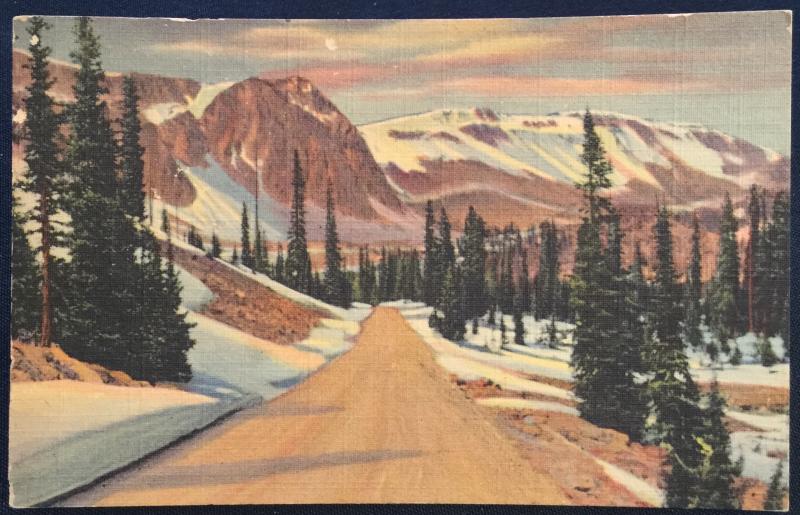 Postcard Unused 1217-Highway Snowy Range Medicine Bow Forest WY LB