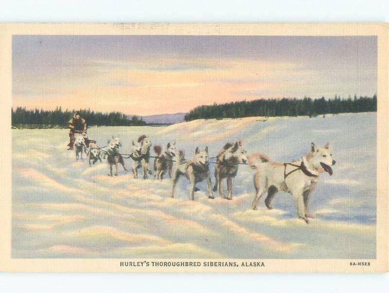 Unused W-Border SIBERIAN HUSKIES DOG TEAMS LED State Of Alaska AK E8236