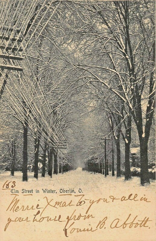 OBERLIN OHIO ELM STREET IN WINTER~1905 ROTOGRAPH PHOTO POSTCARD