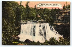 1930s BLACKWATER FALLS DAVIS WEST VIRGINIA W. VA WATERFALL LINEN POSTCARD P1999