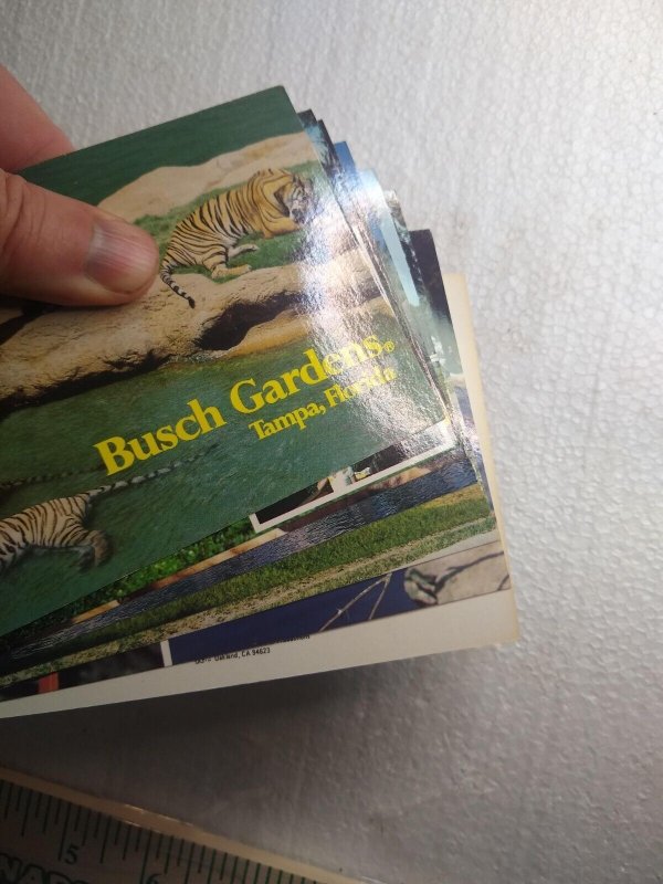 Postcard Folder Busch Gardens, Tampa, Florida