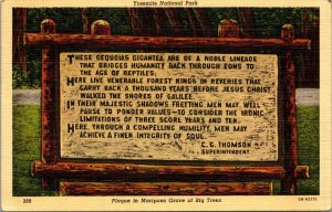 Vtg Plaque in Mariposa Grove of Big Trees Yosemite National Park CA Postcard