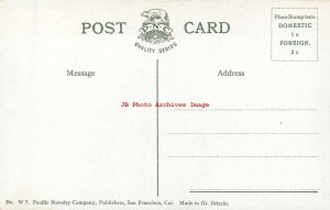 WY, Cheyenne, Wyoming, First National Bank Building, Pacific Novelty No W7