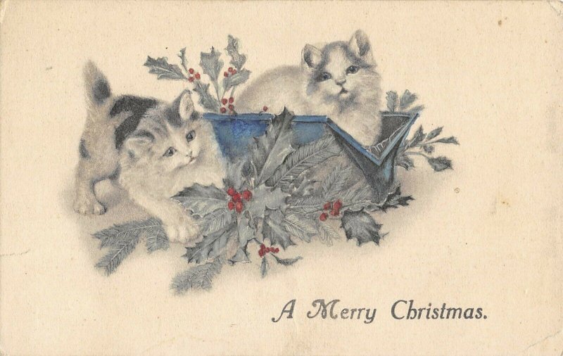 two Christmas kittys in holly postcard c1909 Schlesinger Bros NY ae104