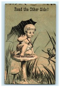 1880s Yates & Co.'s Mark-Down Fantasy Cherubs Fairies Frog Lot Of 3 P217