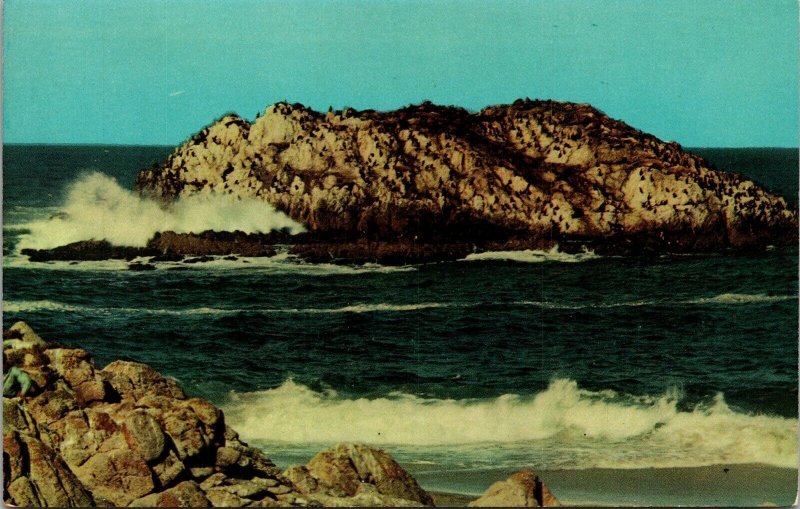 Seal Bird Rocks Monterey Peninsula California CA Postcard VTG UNP Dexter Vintage 