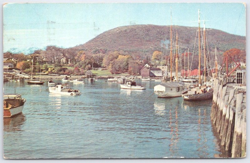 Vintage Camden Maine Harbor Postcard with Mt. Battie & Fishing Boats 1950s
