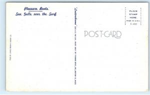 *B61 Greetings from Ship Bottom NJ New Jersey Pleasure Boats Seagulls Postcard