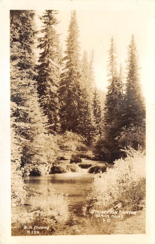 Black Hills South Dakota~Stream Flowing thru Forest in Spearfish Canyon~30s RPPC