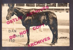 Minnesota RPPC c1910 DAN PATCH Prize HARNESS RACER Racing Horse PACER Champion