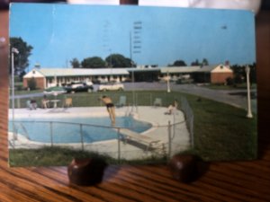 Lord Salisbury Motel Vtg Cars Poolside Scene Salisbury,MD Vtg 1950's Postcard 