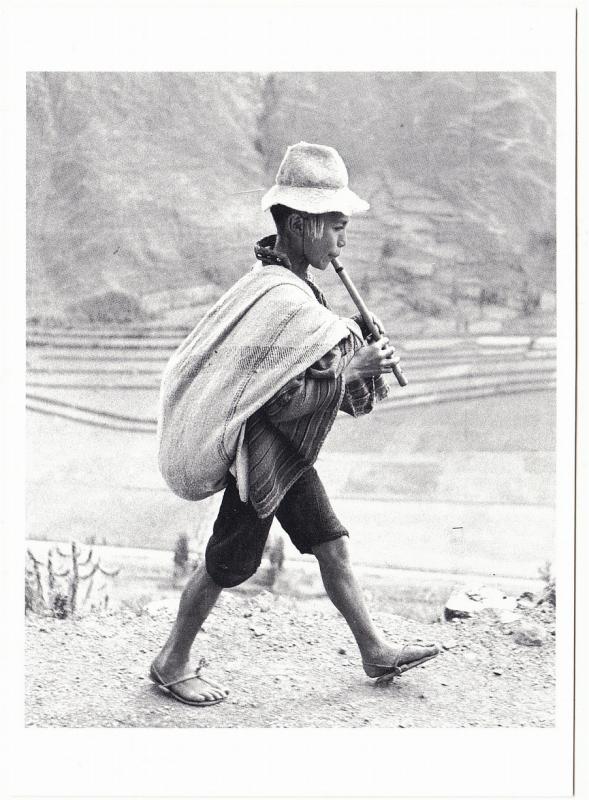 Peru Flute Player in 1954 by Werner Bischof Modern Postcard