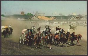 Chuckwagon Races,Calgary,Alberta,Canada Postcard