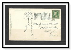 Florida, St Petersburg - Florida Woods