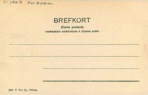 Alsta Folkskola Halsberg Sweden  C-1905 Postcard undivided 4222