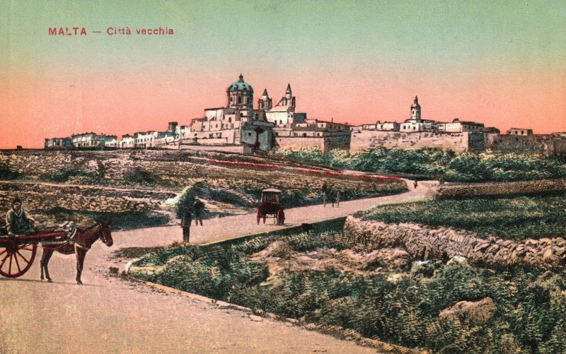 Malta, Old Town Horse Cart Carriage Maltese Citta Vecchia Vintage Postcard c1910